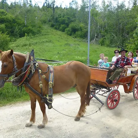 Pensionat House Lalita Fužine