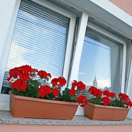 Pensión House Lalita Fužine