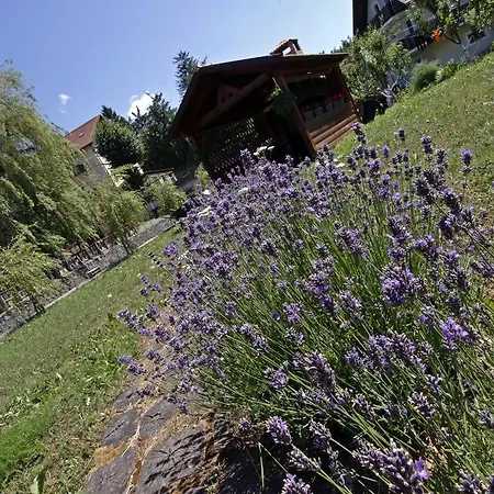 House Lalita Pensionat 4*