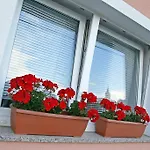 Pensión House Lalita Fužine