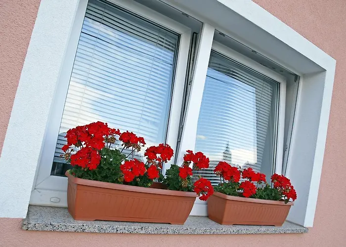 Πανσιόν House Lalita Fužine